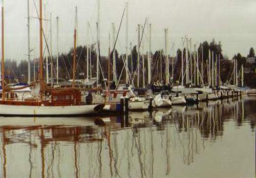 Boats in Harbor at Olympia, WA